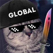 vloggi