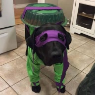 flipperofficial