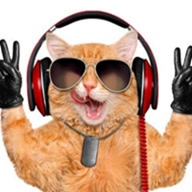 dj612