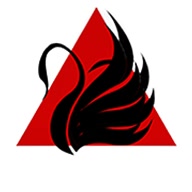 zuanfilm