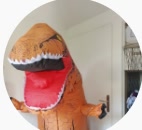 dinos.flp