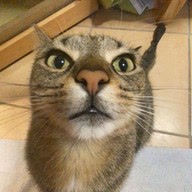 lil_ocram