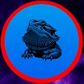 lizardloot
