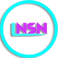 insn