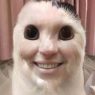 tubogames