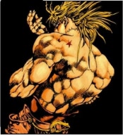 dio333