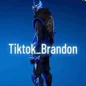 tiktok_brandon
