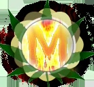 moty125