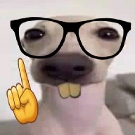 xilonfn