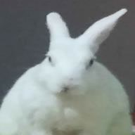 arsh_ghost
