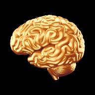 brain77
