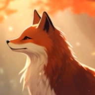 foxx66