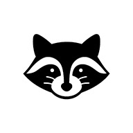 raccoonstudio