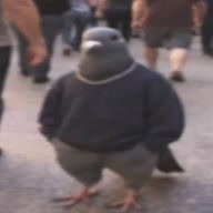 furko24
