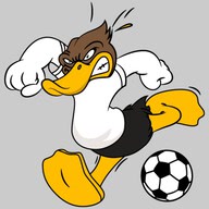 duckfifa