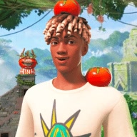 mrtomate