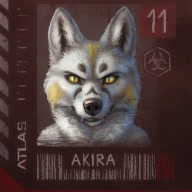 akiradf