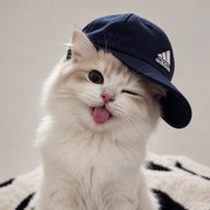 m0o0