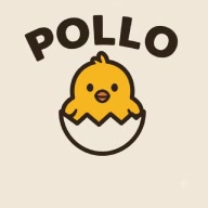 pollitochido
