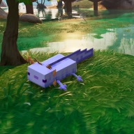 axoloter