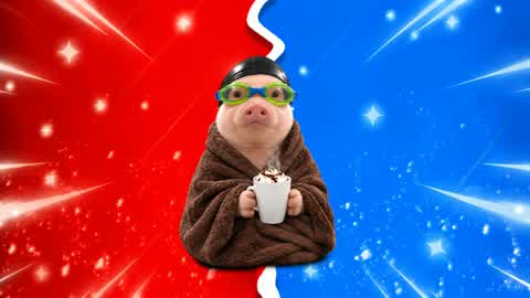 RED VS BLUE RVB PIG