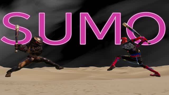 Capture 1 – SUMO