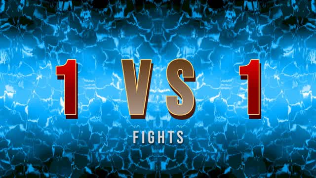 1 VS 1 Fights