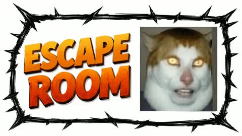 CAT ESCAPE ROOM 👀