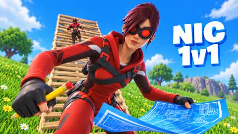 NIC 1V1