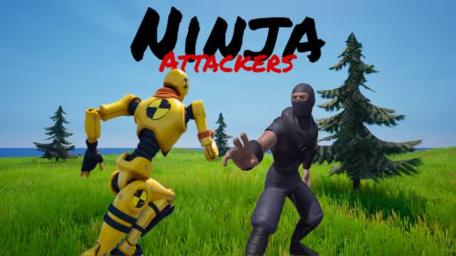 Capture 1 – Ninja Attackers