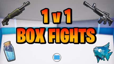 BOX FIGHT 1v1