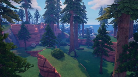 Island image