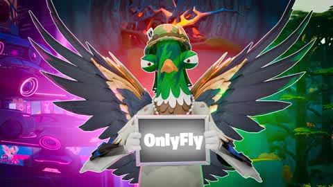 ONLY FLY