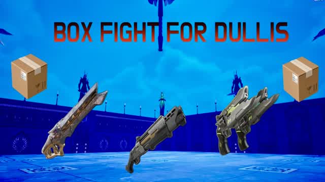 📦Box Fight for Dulliis🤣