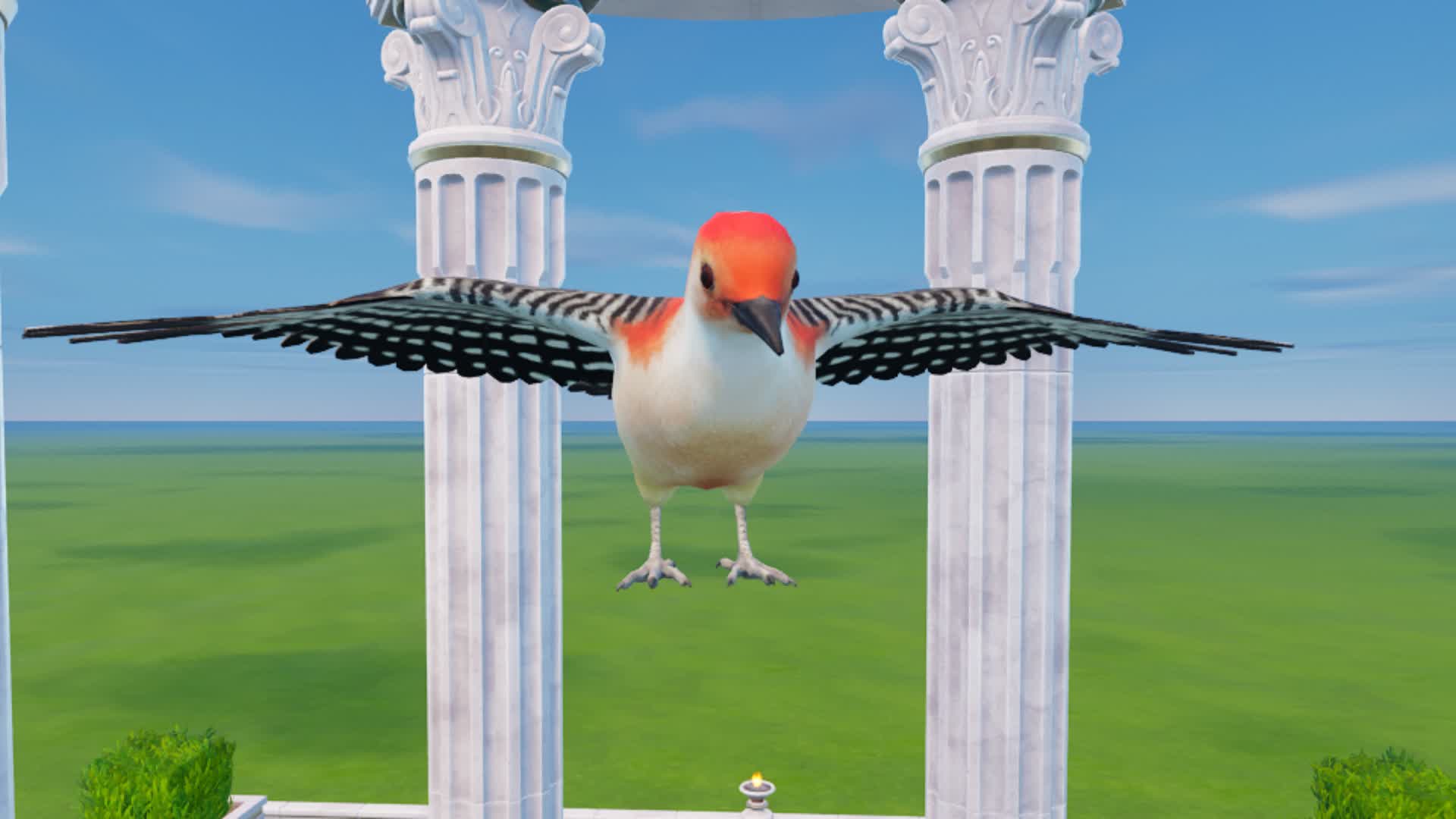 MEET WOODPECKER