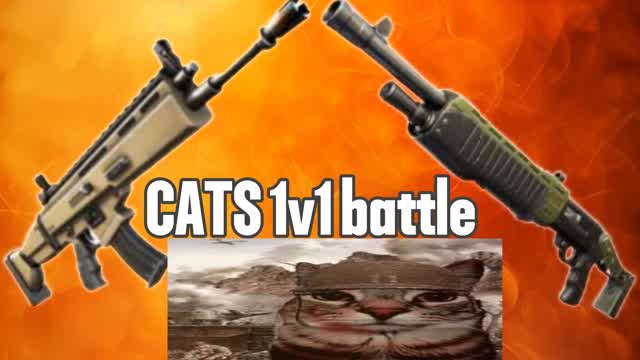 CATS 1v1 battle