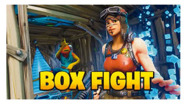 1 v 1 Boxfight