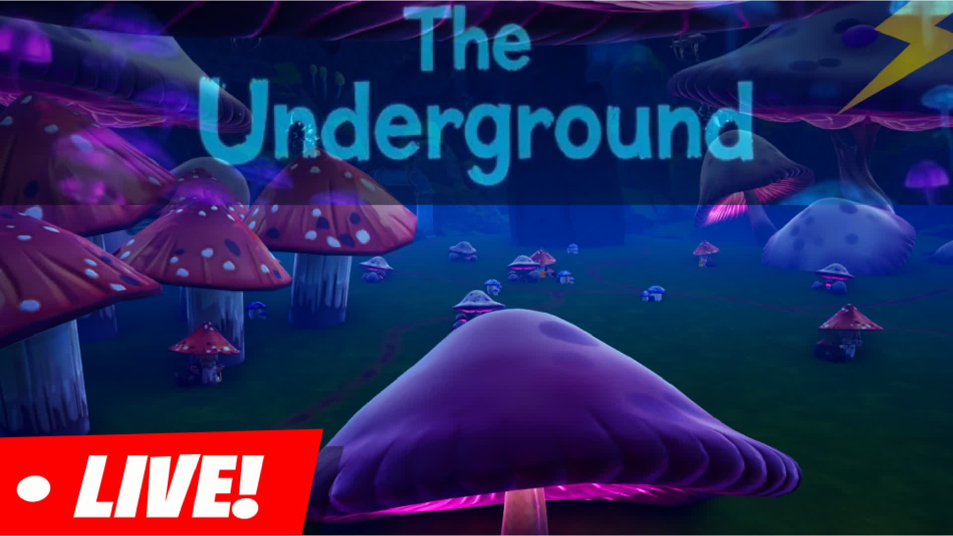 The Underground