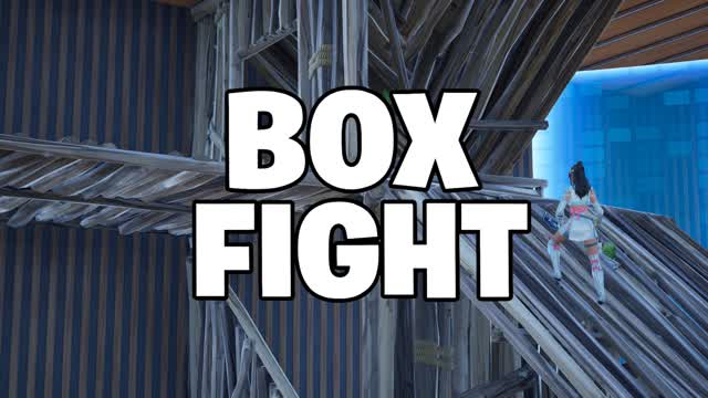 BOX FIGHT REMASTERED