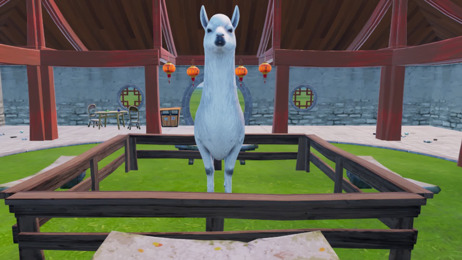 MEET ALPACA