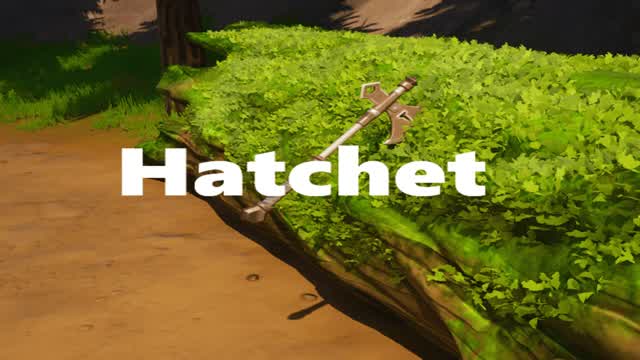 Hatchet