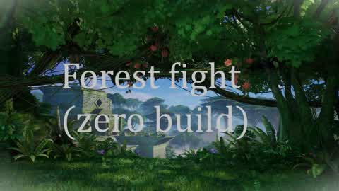 Forest fight (zero build)