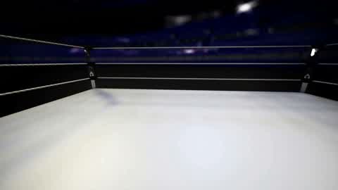 Ring Fight