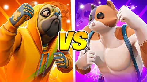 🐶 DOGS VS CATS 🐱