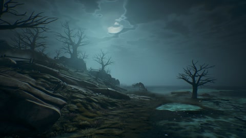 Island image
