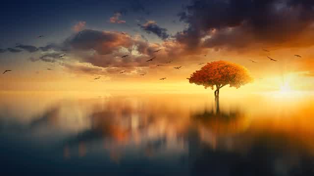 Capture 1 – greasy grove tornament practice | FFA