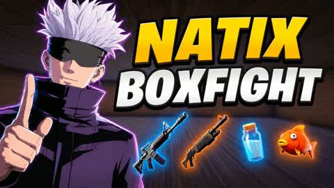 Natix | Boxfight [SOLO]