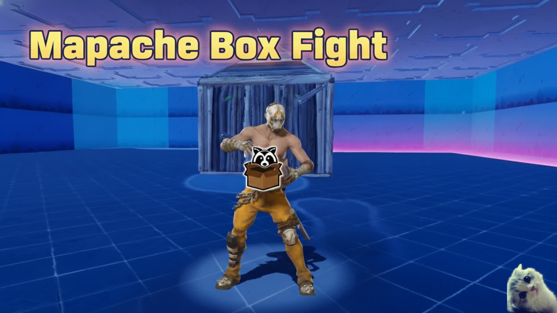 🦝MAPACHE 📦BOX FIGHT