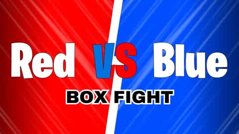 Red vs Blue Box Fight
