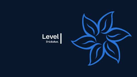 Level Trickshot